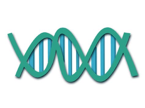 Researchers discover new mammal reference genome that helps ID genetic ...