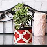 ExclusiveLane Mughal Roots Floral Hand-Painted Ceramic Planters Pot ...