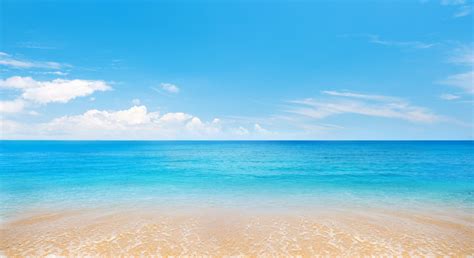 10 White Sea Facts You Might Not Know (Updated)