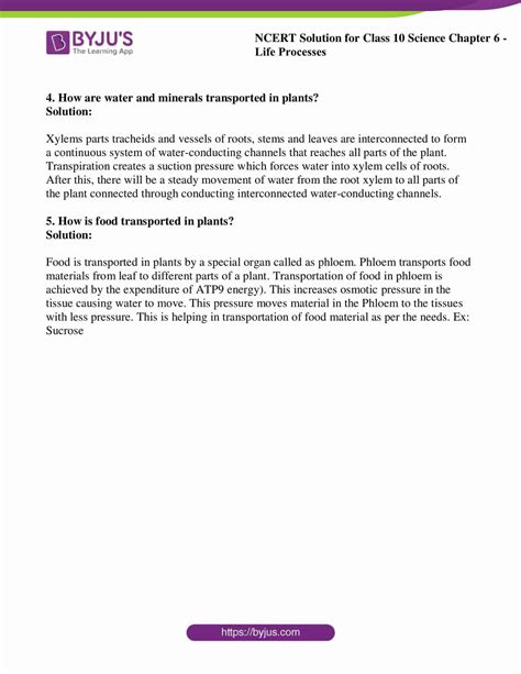 Image result for Class 10 Science Life Process NCERT Tutorial