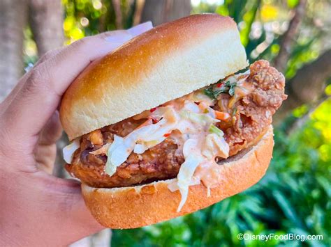 Ranking the Spicy Chicken in Disney World From "That's Nothing" to 🔥 | the disney food blog