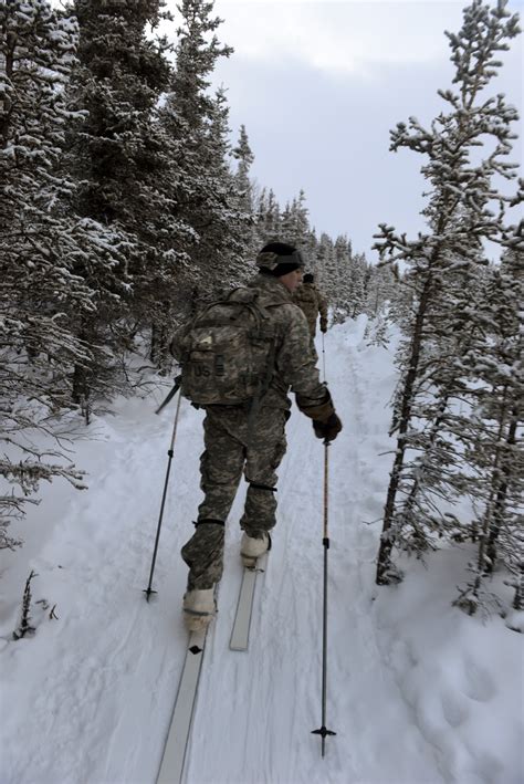 Soldiers learn skiing, snowshoeing in arctic conditions | Article | The ...