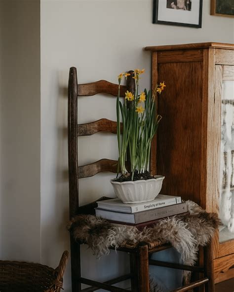 Alyson Morgan | march madness | made it through a sugar-fueled week ...