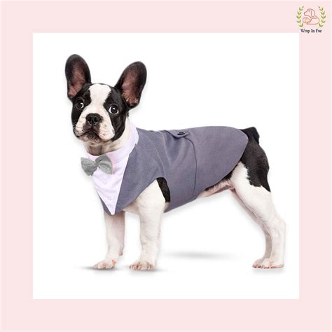 Dress like Gentleman in Grey Dog Tuxedo – Wrapinfur