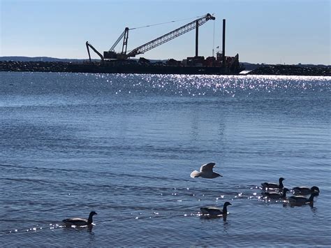 Seen those cranes and rising rock islands off the South Shore coast ...