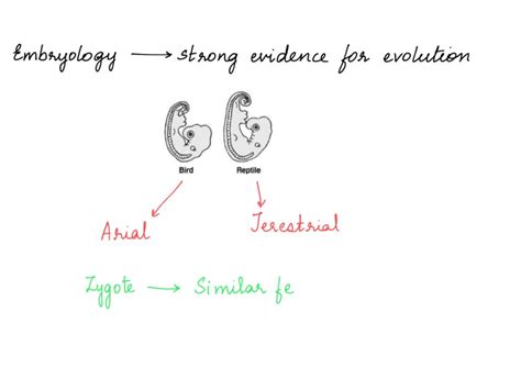 BioGenetic 的图像结果