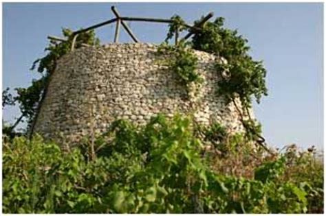 Neot Kedumim, lod, Israel - Top Attractions, Things to Do & Activities ...