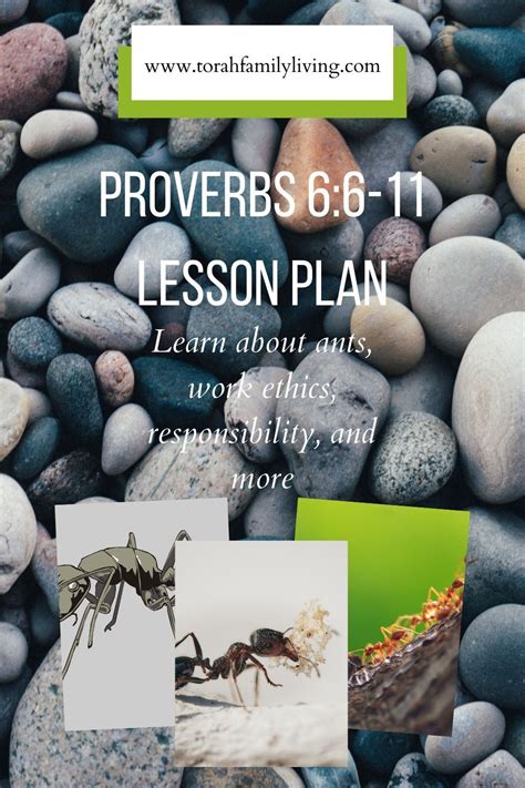Image result for Proverbs 6 Lesson