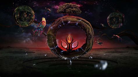 Nature Undefined Wallpaper 的图像结果