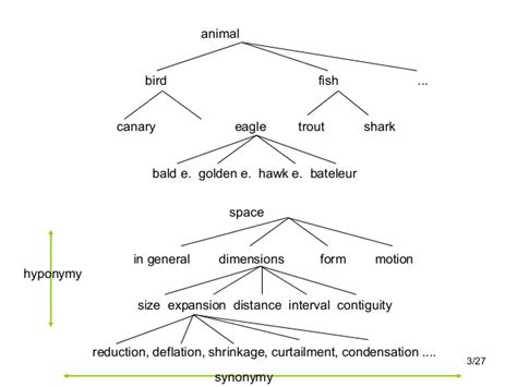 Image result for WordNet Definition