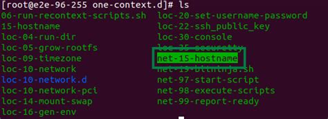 Change Hostname | E2E Cloud