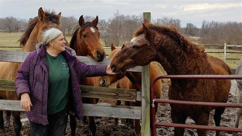 Missouri Trainer Wants All The Wyoming Curly-Haired Mustangs She Can ...