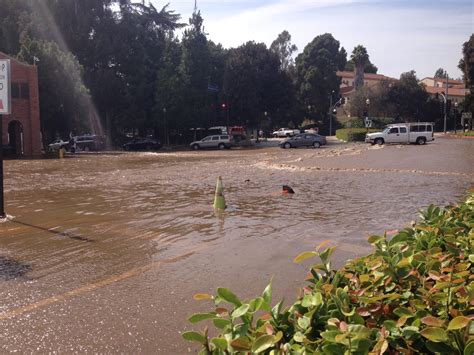 The Flood of 2014 – UCLA Anderson Blogs