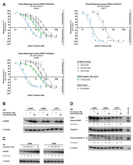Cancers | Special Issue : Giant-Cell-Containing Tumors of Bone—New ...