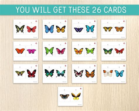 Buy Butterfly Matching Activity, Butterfly Puzzles, Symmetry, Kids ...