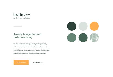 BrainVive logo design - ZEPP Portfolio