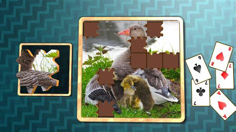 Jigsaw Solitaire Baby Animals TV - App on Amazon Appstore