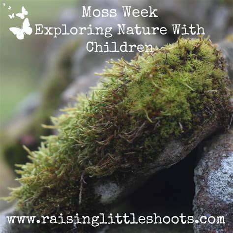 Ideas for learning about moss with children - Life Science | Explore ...