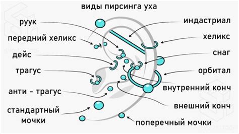 Что нужно знать о пирсинге хряща ⋆ Тату и пирсинг Evo