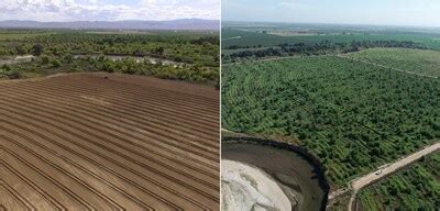 Primo Brands Helps Launch Pioneering Water Replenishment and Habitat ...