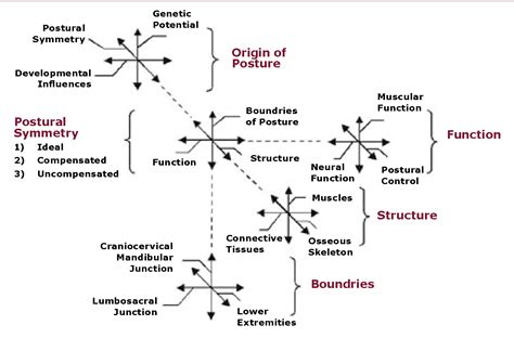 Image result for Common Compensatory Pattern