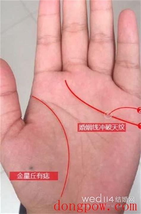 指尖肥肥圆圆的手相,手相中手指的三个指节各代表什么?