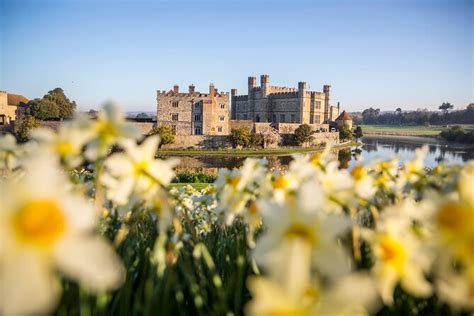 Leeds Castle and Canterbury Day Trip from Brighton 2024 - Viator