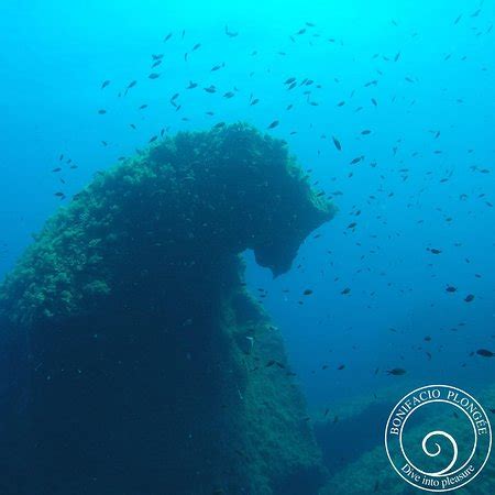 Bonifacio Plongee - 2022 What to Know Before You Go (with Photos ...