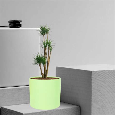 Lasaki Sara 5 inch Mint Ceramic Pots for Indoor Plants, Planters ...