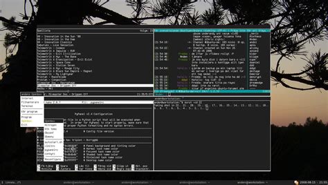 Image result for Openbox Desktop