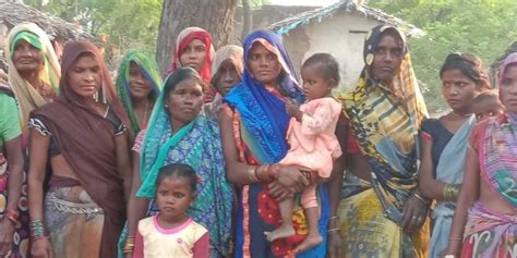 Ground Report | Bundelkhand: Sanitation, Stray Cattle Aggravate Distress