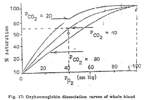 Physiology of Respiration - Animal Husbandry and Veterinary Science ...