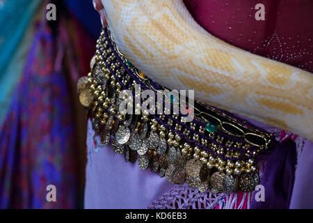 Image result for Python Snake Belly Dancer