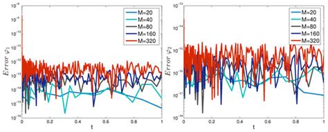 Numerical Identification of External Boundary Conditions for Time ...