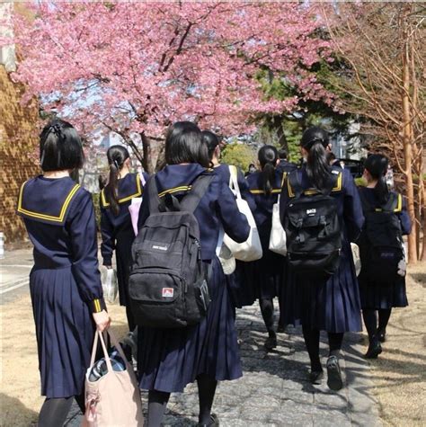 Pin von è±æ²» é´æ¨ auf 風景