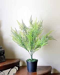 Buy Ginni Bloom Artificial English Ferns Online at Low Prices in India ...