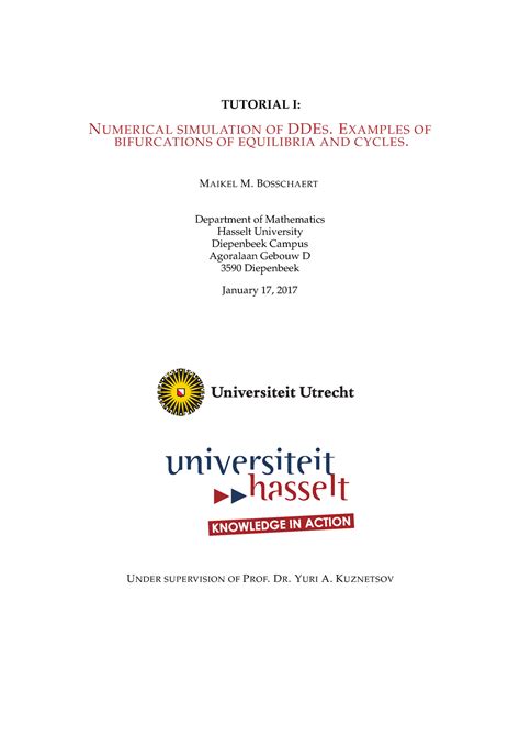 DDE seminar tutorial 1 - TUTORIAL I: NUMERICAL SIMULATION OFDDES ...