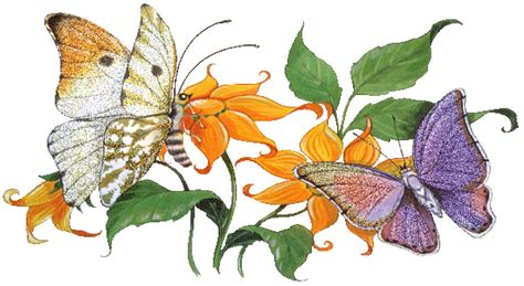 Two Butterflies - DesiComments.com