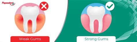 Buy Pepsodent 2 in 1 Toothpaste Tooth Decay Prevention, Cavity ...