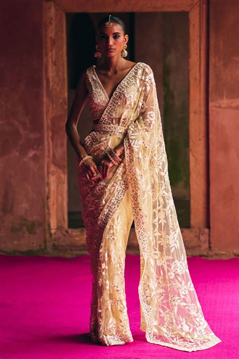 Beige Net Saree set – angadsinghofficial.com