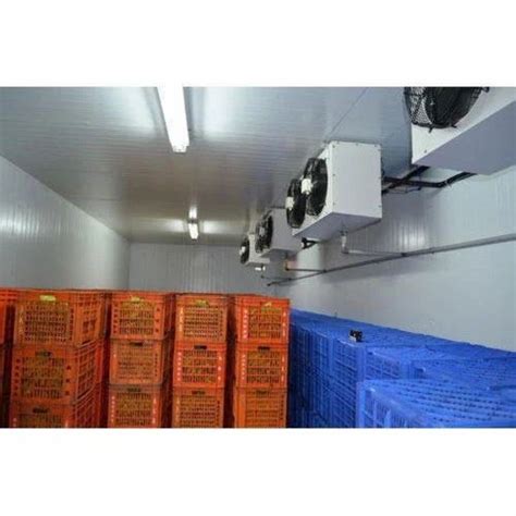 Fruit Ripening Chamber - Banana Ripening Plant Trader - Retailer from ...