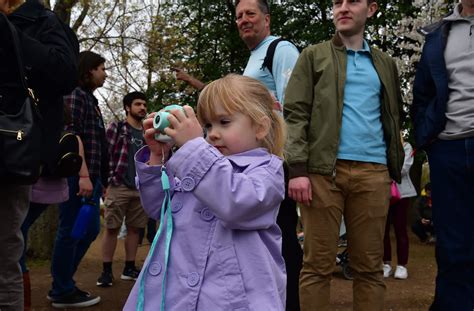 Image result for Come Back Stumpy