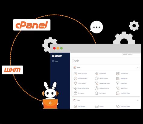 Image result for cPanel Server