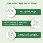 Zero Dandruff Shampoo for a Clean, Healthy Scalp - Natural Infusions Store