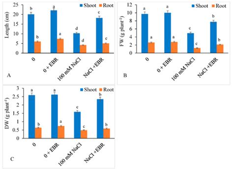 24-Epibrassinolide (EBR) Confers Tolerance against NaCl Stress in ...