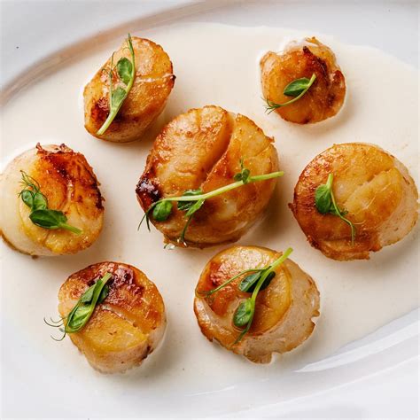 What Are Scallops?