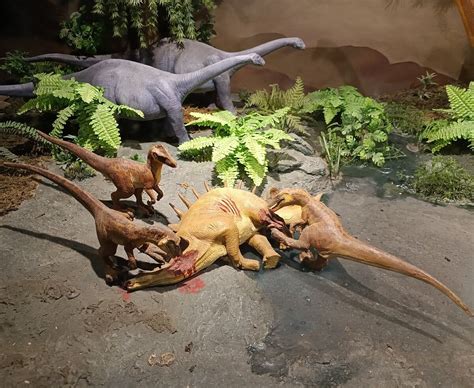 SIRINDHORN MUSEUM AND PHU KUM KHAO DINOSAUR EXCAVATION SITE - All You ...