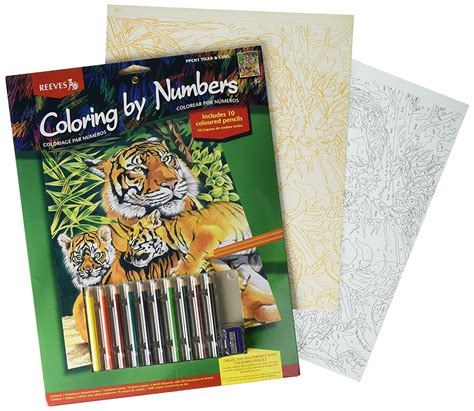 Reeves Tiger and Cubs Colored Pencil by Numbers : Amazon.in: Home & Kitchen