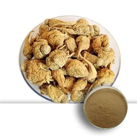 maca root extract 的图像结果