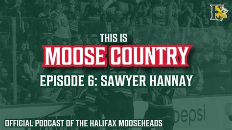 Halifax Mooseheads at Newfoundland Regiment, Mary Brown's Centre, St ...